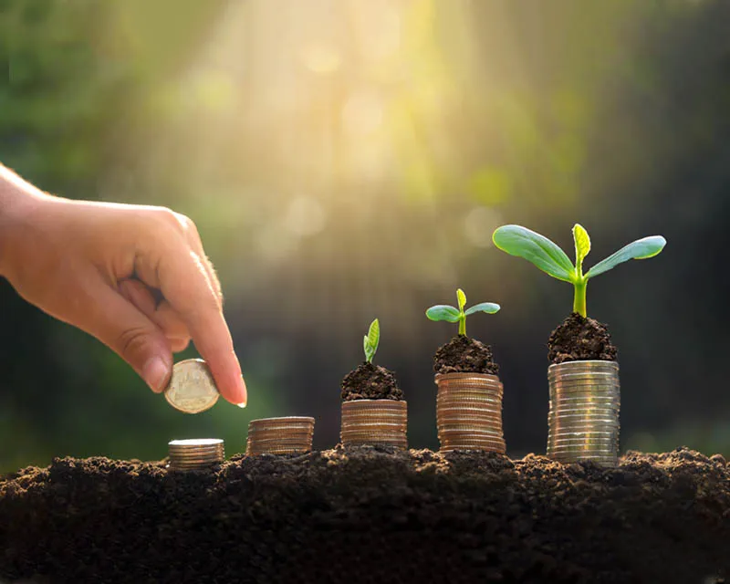 جمعية جسور التواصل للتنمية المجتمعية